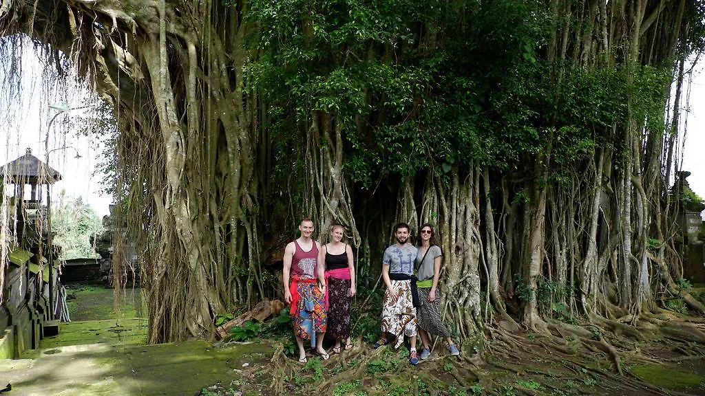 Homestay In Da Garden Apartment Ubud