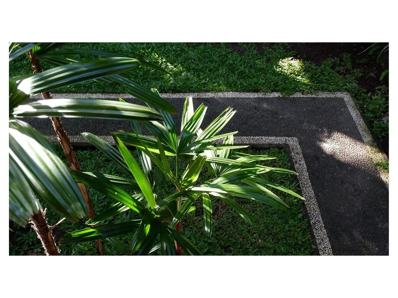 In Da Garden 0*, Ubud