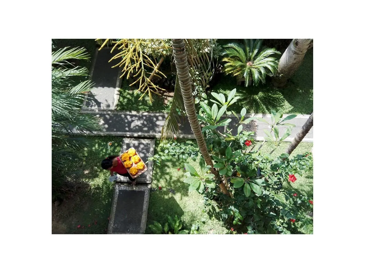 In Da Garden Διαμέρισμα Ουμπούντ