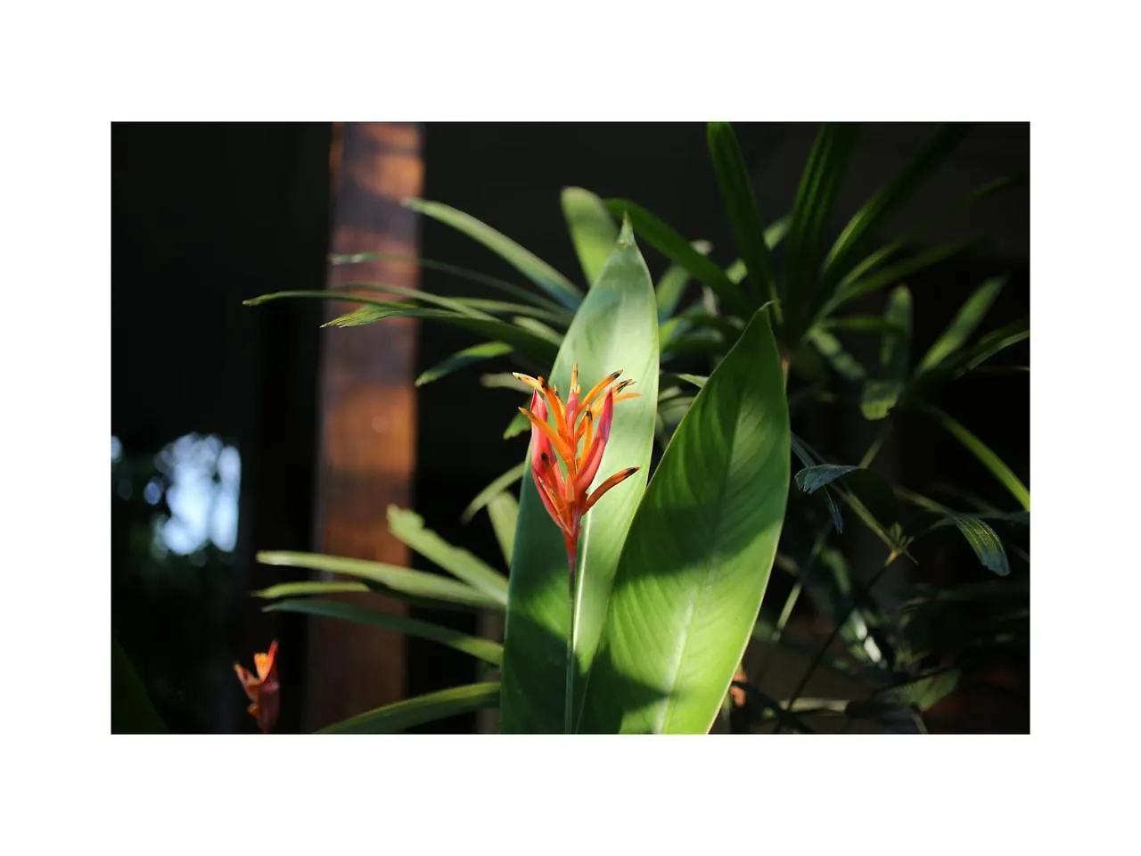 Δωμάτια σε οικογενειακή κατοικία In Da Garden Διαμέρισμα Ουμπούντ